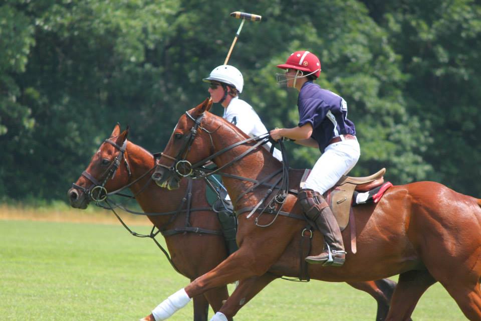polo sport